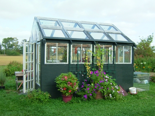 greenhouse2